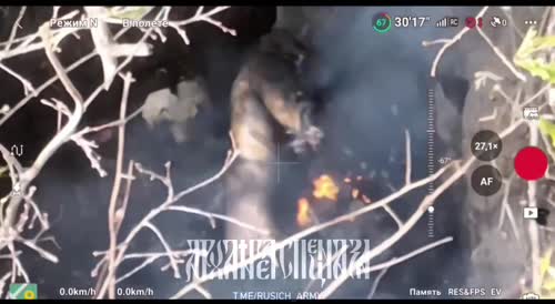 A wounded Ukrainian burned alive in a trench
