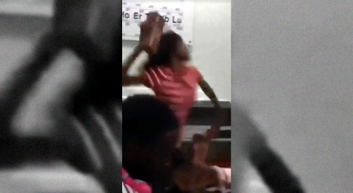 Girl Slams Classmate With A Brick