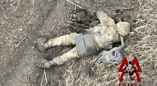 There are many corpses in the snow. Total destruction of Ukrainian militants
