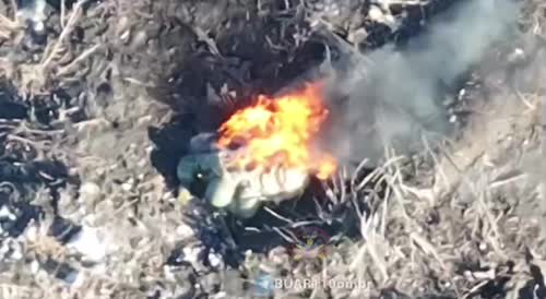 Tourist burning down after drone drop