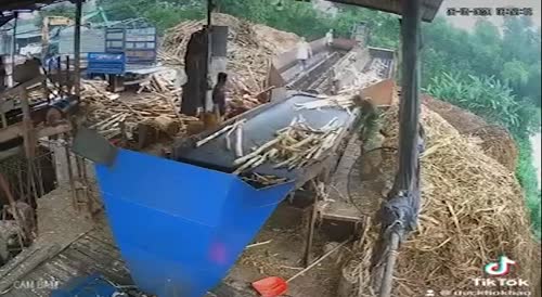 2  Tree Workers Shredded In Vietnam