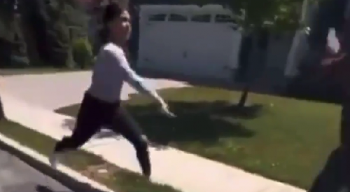 Girl Brings Rock To A Fist Fight