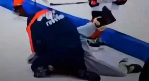 Hockey Coach Punching Rival Team Coach In The Face