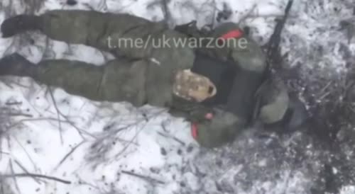 Ukrainian drones abusing communist elves