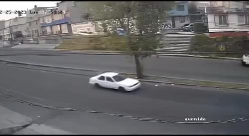 Speeding Car Crashes Into Tree