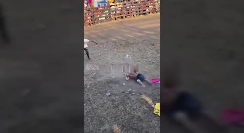 Man Attempts Flip Over Bull, Gets Just That