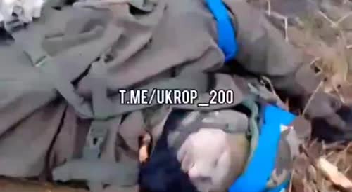 There's nothing unusual, just a lot of corpses of Ukrainian soldiers