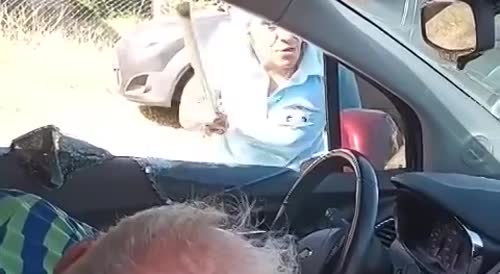Argentinian Lady with a Bat has Serious Road Rage Problems