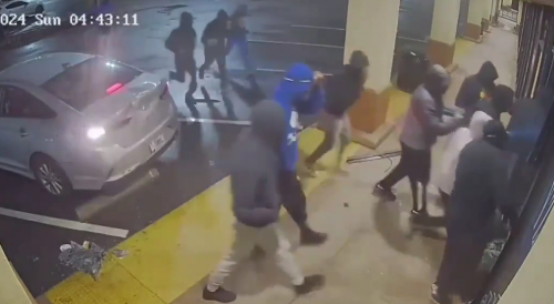 Thugs using government car in Southern California smash-and-grab