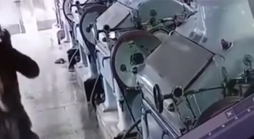 Dude instantly sucked into machine and crushed(repost)