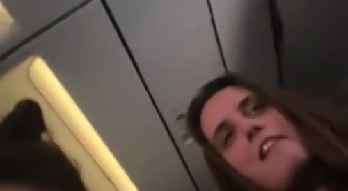 Woman Cant Behave On Flight, Gets Arrested