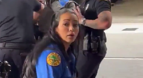 Fake Ass Officer Diaz