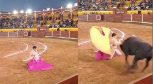 Mexican Bullfighter Gored In The Neck