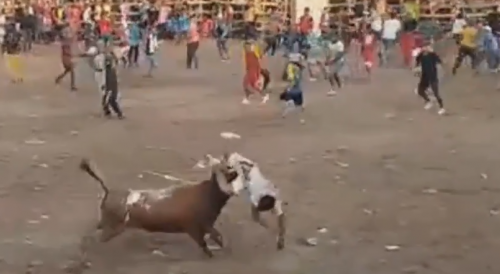 Mess With The Bull