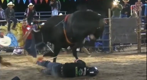 Mexican Rodeo Bulls Never Lose