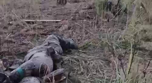 Dead soldiers after the storming of the AFU positions in the Serebryansk forestry. A good crest is a two-hundredth crest.