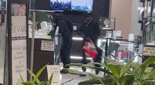 Illinois thieves smashing glass display cases and snatching watches, jewelry