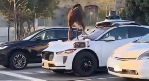 Crazy dude trashing Waymo car in San Francisco