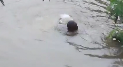 Man Drowns After A Bottle Of Cachaça