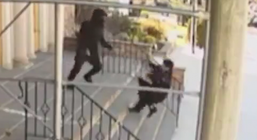 Woman punched, shoved down NYC church stairs in brazen robbery