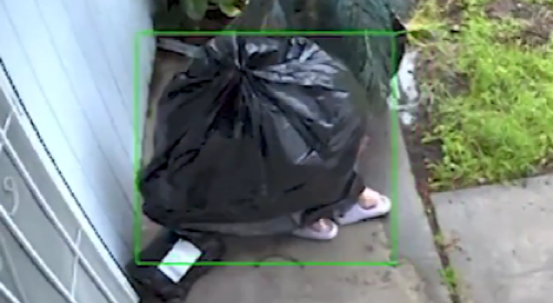 A thief disguised as a trash bag  steals a package from Sacramento home
