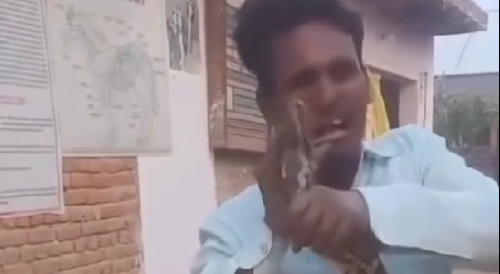 Guy tries to kiss a giant snake