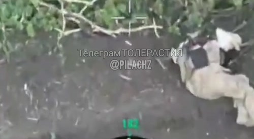 The Ukrainian had his head blown off after dropping a bomb from a drone!