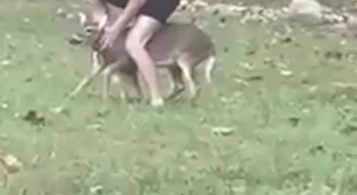 Man Gets Attacked by a Deer