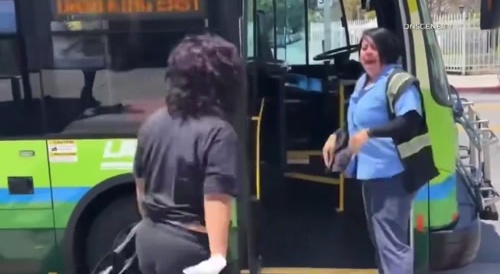 Deranged Woman Attacks Bus Driver