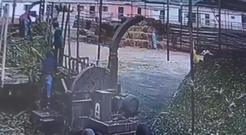 Worker Falls Into Wood Chipper