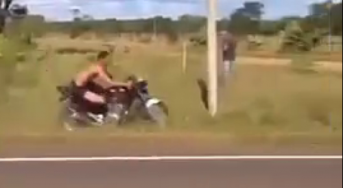 Motorcyclist Survives Illegal Street Race Fender Bender