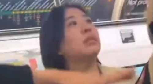 Asian woman get into a physical altercation with an African-American woman