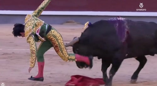 Mexican Bull Fighter Gored In Spain