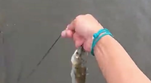 Fishing goes wrong ln USA