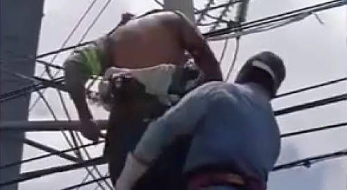 Electrocuted Worker Seizures On Cables