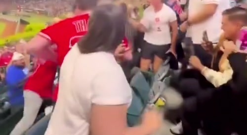 Fight broke out  at Angel Stadium