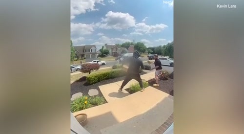 Rival Porch Pirates Fight for Package