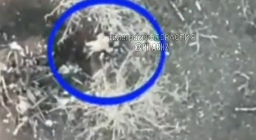 A kamikaze drone flew into the ass of a fleeing soldier! After arrival, the Ukrainian was divided into two parts.