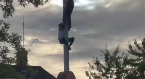 Indian Guy Falls from Flag Pole Trying to Hang an Indian Flag in the UK