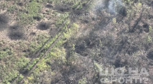 A group of infantry walk into an ambush and get mowed down by machine guns