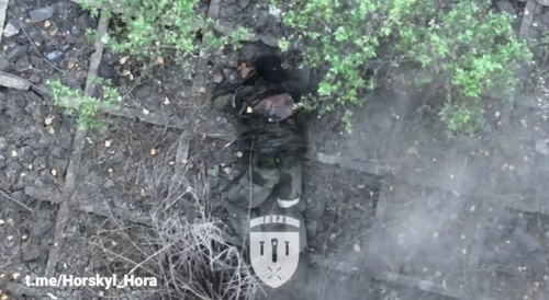 Graphic Ukrainian drone dropped VOG puts hole into russian soldier