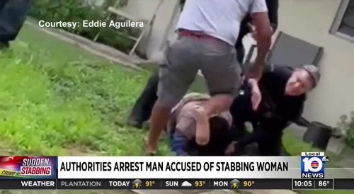 Immigrant Cuts Up Woman with Machete