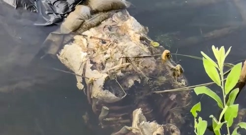 Human Skeleton Discovered By Beach Goers