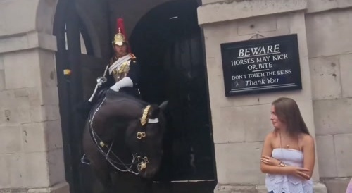 Tourist faints when King's Guard horse bites her