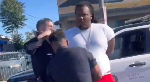 Handcuffed Man Punched By LAPD Cop