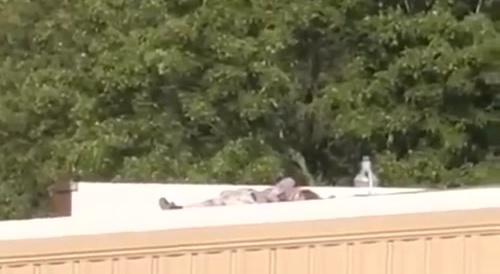 Trump Shooter Dead on Roof Behind Crowd