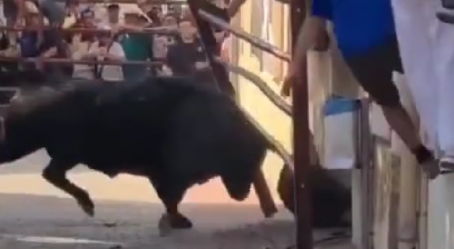 Man Gored By Bull At Festival In Spain