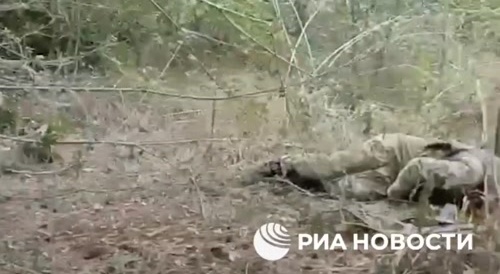 Dead Ukrainian soldiers in the Kursk region.