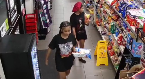 Two girls at large after stealing from 7-Eleven in Florida