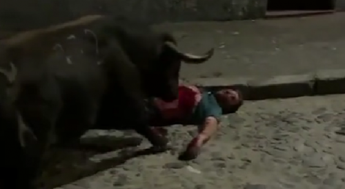 Man Killed by Bull In Portugal